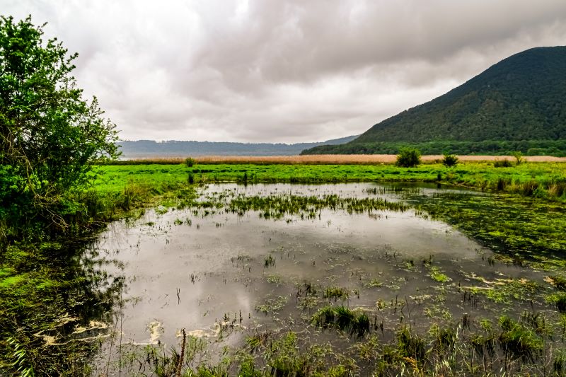 Lago di Vico Le Pantanacce
