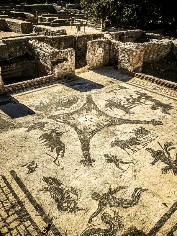 Ostia Antica mosaico nelle Terme dei Cisarii