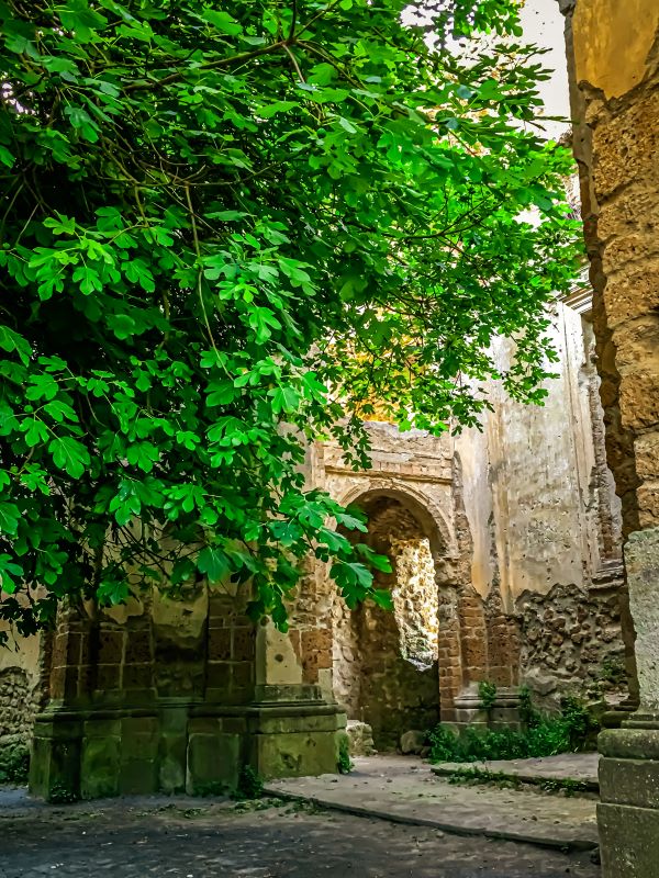 Antica Monterano un arco all'interno della chiesa di San Bonaventura nel borgo fantasma