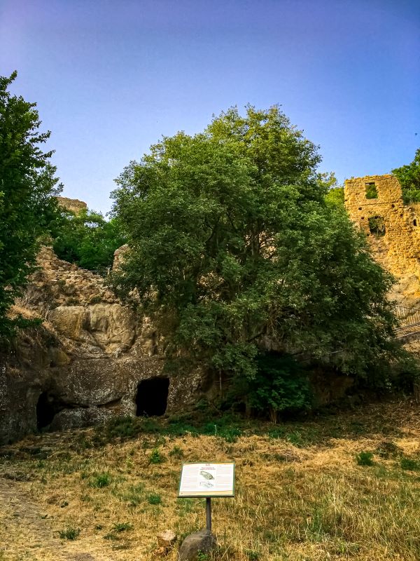 Antica Monterano tombe etrusche nel borgo fantasma sotto porta Cretella